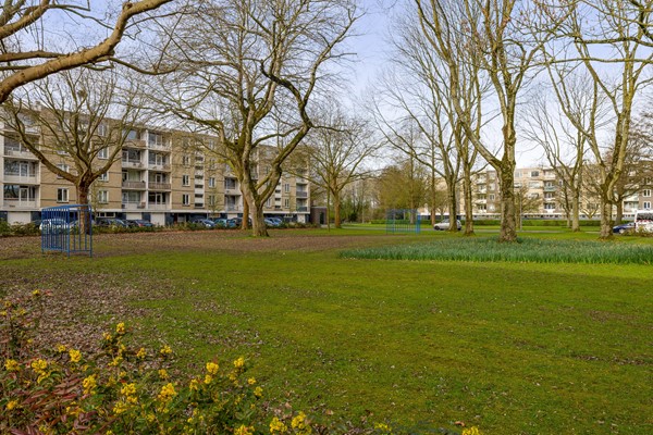 Medium property photo - Bosseplaat 125, 3181 ZC Rozenburg